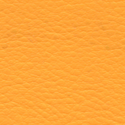 orange-331.jpg